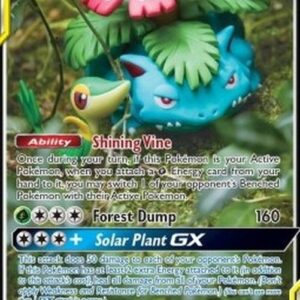 Pokemon Venusaur & Snivy GX