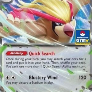 Pokemon Pidgeot ex