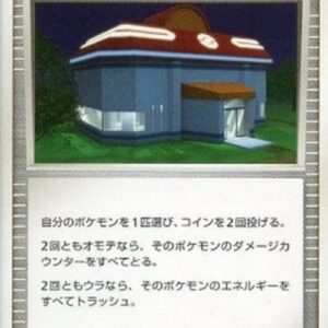 Pokemon Night Pokemon Center Japanese