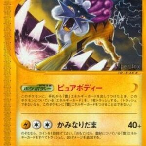 Pokemon Raikou Japanese