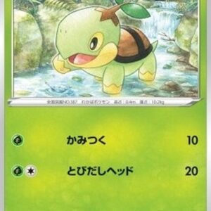 Pokemon Turtwig Korean