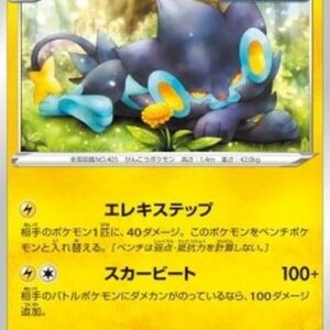 Pokemon Luxray Japanese