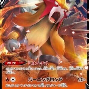 Pokemon Entei V Japanese