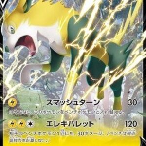 Pokemon Boltund V Japanese