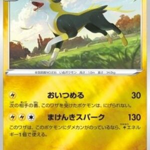 Pokemon Boltund Japanese