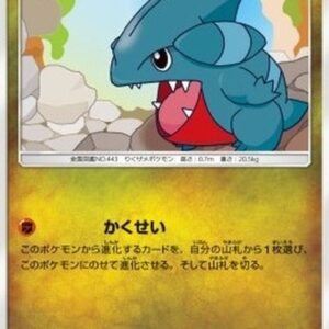 Pokemon Gible Japanese