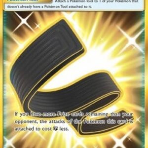 Pokemon Karate Belt