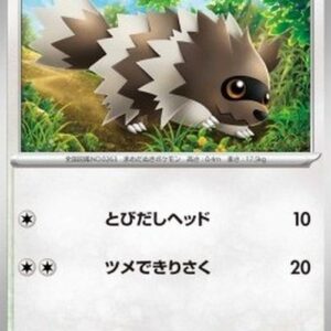 Pokemon Zigzagoon Japanese