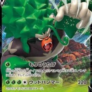 Pokemon Rillaboom V Japanese