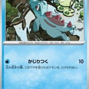 Pokemon Totodile Japanese