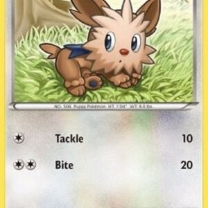 Pokemon Lillipup