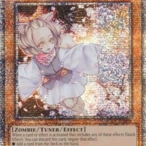 Yu-Gi-Oh! Ash Blossom & Joyous Spring (V.5 - Quarter Century Secret Rare) N/A