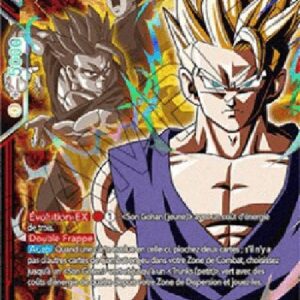 Dragon Ball Super Dependable Brother Son Gohan (V.4 - Special Rare) Italian