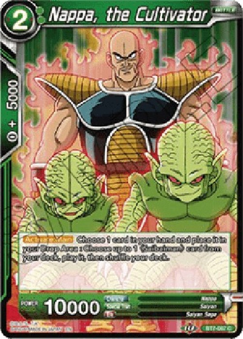 Dragon Ball Super Nappa, the Cultivator