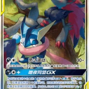 Pokemon Greninja & Zoroark GX S-Chinese