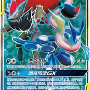 Pokemon Greninja & Zoroark GX S-Chinese