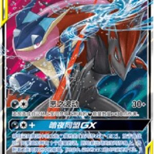 Pokemon Greninja & Zoroark GX S-Chinese