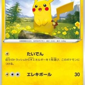 Pokemon Pikachu Japanese