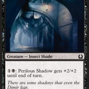 Magic: The Gathering Perilous Shadow