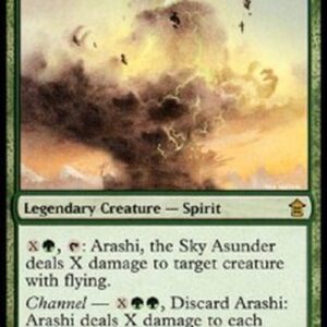 Magic: The Gathering Arashi, the Sky Asunder