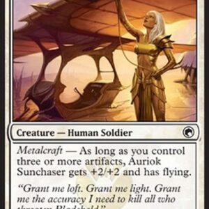 Magic: The Gathering Auriok Sunchaser