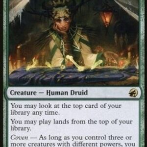 Magic: The Gathering Augur of Autumn