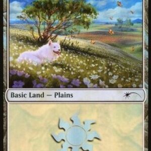 Magic: The Gathering Plains (V.12)