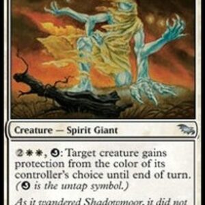 Magic: The Gathering Pale Wayfarer