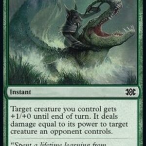Magic: The Gathering Ambuscade