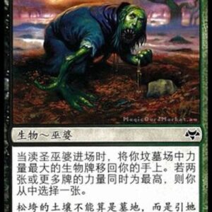 Magic: The Gathering Desecrator Hag S-Chinese