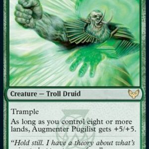 Magic: The Gathering Augmenter Pugilist // Echoing Equation