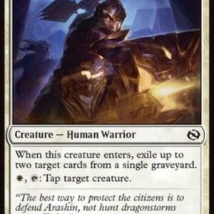 Magic: The Gathering Arashin Sunshield