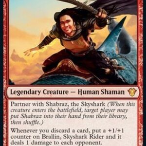Magic: The Gathering Brallin, Skyshark Rider