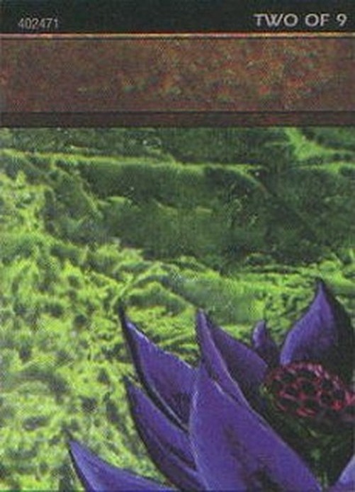 Magic: The Gathering Black Lotus Puzzle Card (V.2)