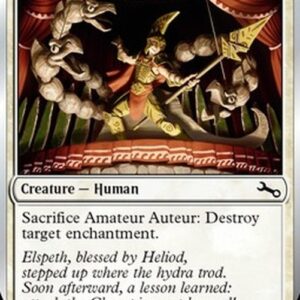 Magic: The Gathering Amateur Auteur