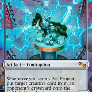 Magic: The Gathering Pet Project