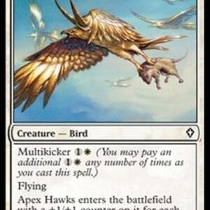 Magic: The Gathering Apex Hawks