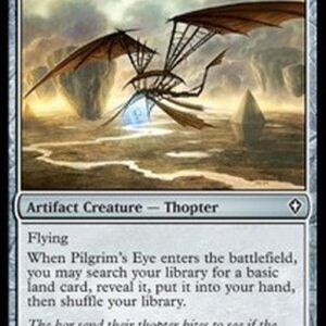 Magic: The Gathering Pilgrim's Eye