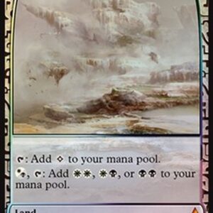 Magic: The Gathering Fetid Heath