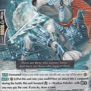 Cardfight!! Vanguard Spinbau Revenger [G Format]