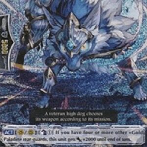 Cardfight!! Vanguard Sleygal Dagger [G Format]