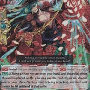 Cardfight!! Vanguard Red Rose Musketeer, Antonio [G Format]
