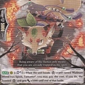 Cardfight!! Vanguard Stealth Beast, Flame Fox [G Format]