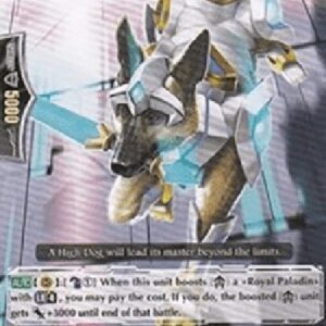 Cardfight!! Vanguard Rushhgal [G Format]