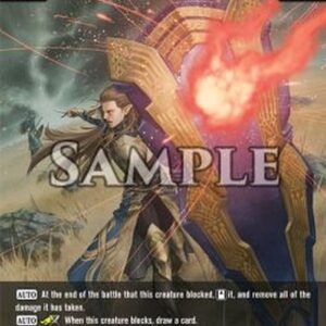 Dragoborne Resolute Paladin