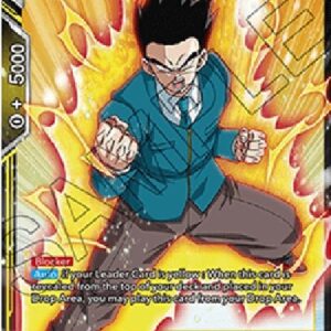 Dragon Ball Super Son Gohan, the Brawler