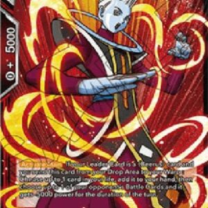 Dragon Ball Super Whis, Godly Fundamentals