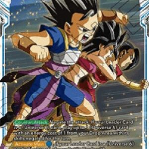 Dragon Ball Super Universe 6 Combination