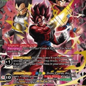 Dragon Ball Super Vegito, Warrior From Another Dimension