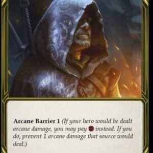 Flesh And Blood FAB Nullrune Hood